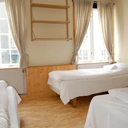 Singsaker Sommerhotell * טרונדהיים